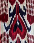 Ikat Fabric